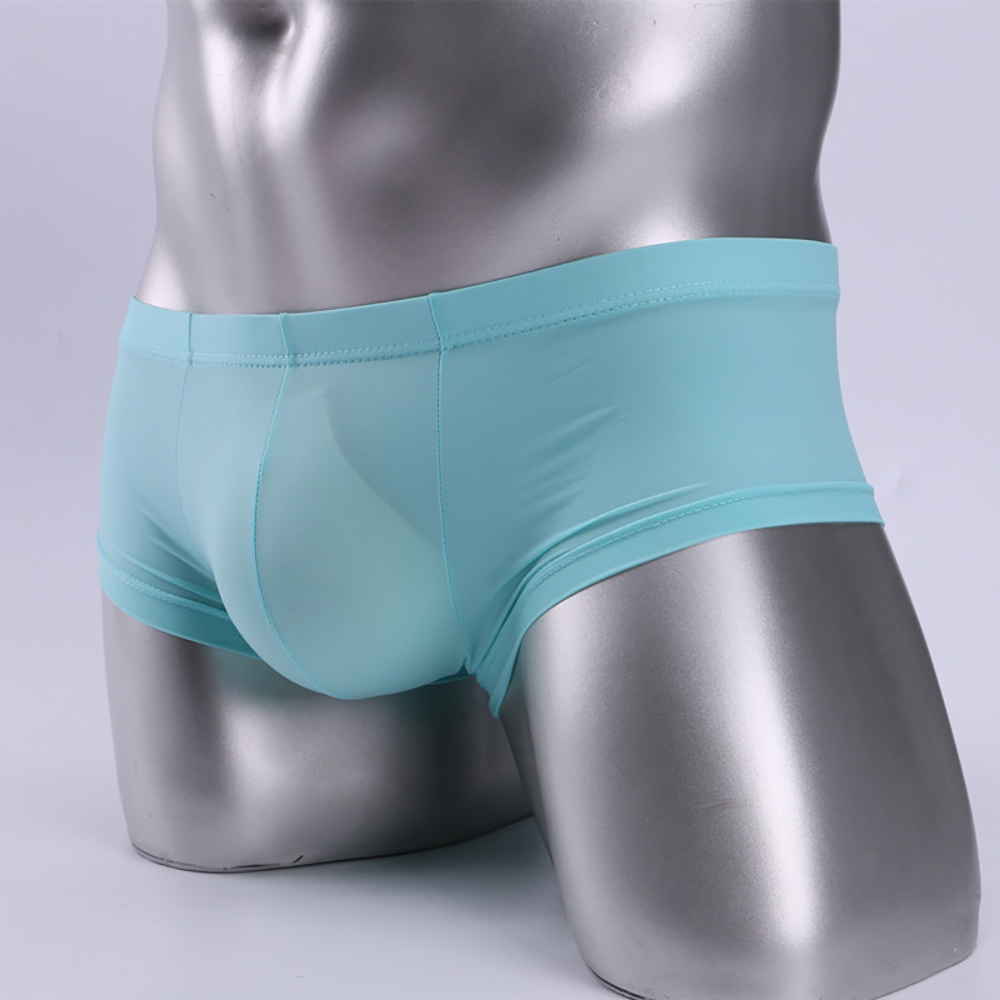 Pouch Boxer Pouch - 새로운 남성용 섹시 로우웨이스트 경량 메쉬