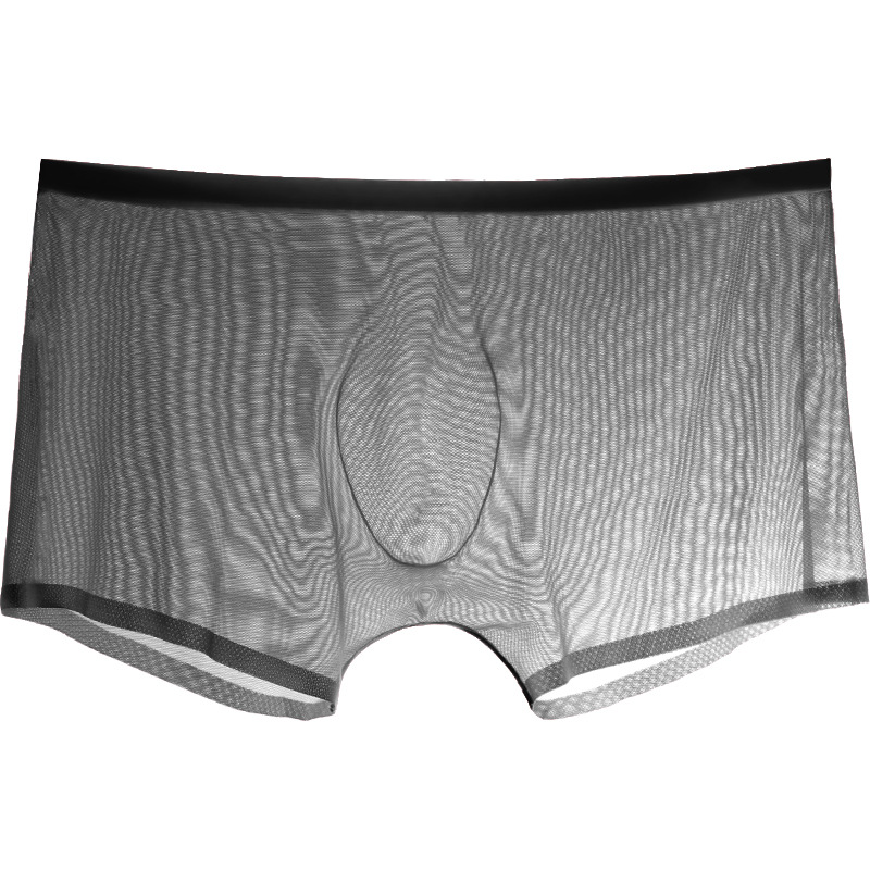 Trunk Breathable Men - 남성용 시스루 팬티, 핫한 남성을 위한
