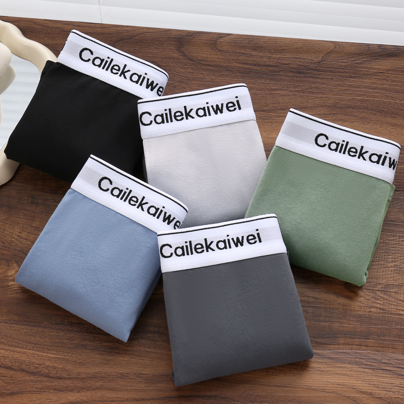 Boxer Brief Pack Cotton - 5Pcs 복서 반바지 남자 속옷 섹시한