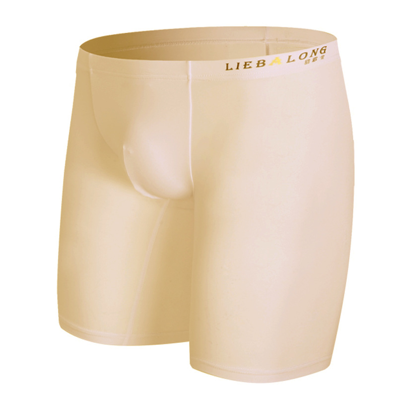 남성 트렁크 긴 다리 복서 반바지 파우치 속옷, 아이스 - Long Leg Trunk Men 리뷰 및 가격