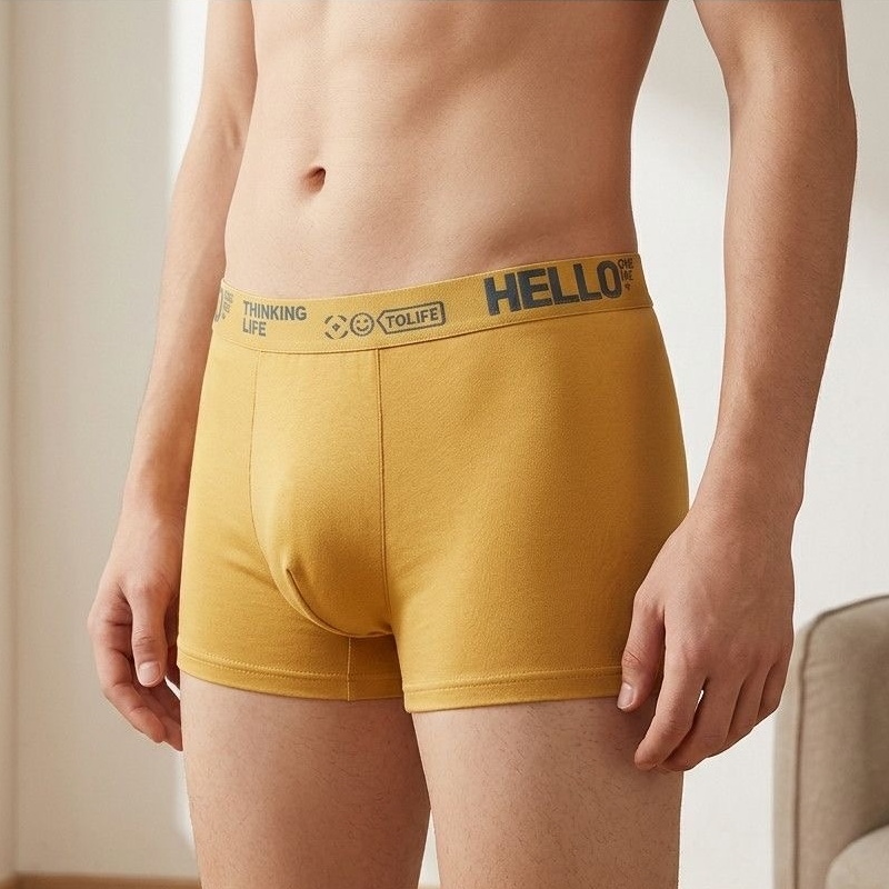 6Pcs 남성 속옷 남성 95% 면 속옷 남성 순수 남 - Boxer Brief Pack Cotton 리뷰 및 가격